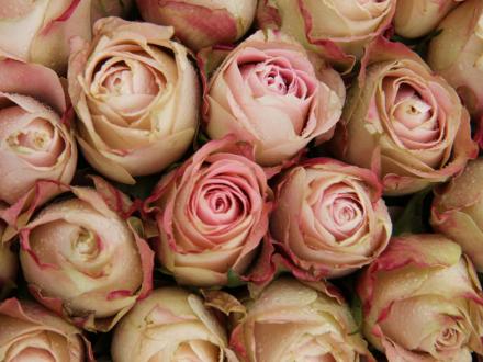 Bruidsboeketten bloemen van Gurp 