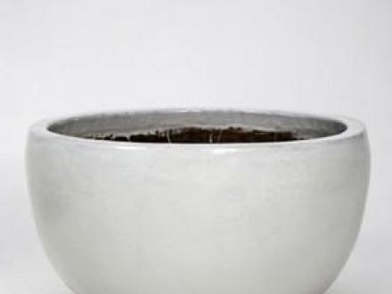 100-de-luxe-bowl-white-