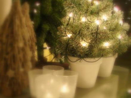 Kerstdecoratie Bloemen van gurp Breda (2)