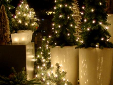 Kerstdecoratie Bloemen van Gurp Breda