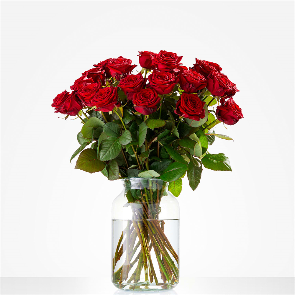 Gehoorzaam Monet Nieuwjaar Valentijnsboeket rode rozen online bestellen » Bloemen Francois van Gurp
