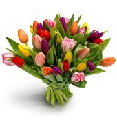 Voorjaarsboeket Tulpen